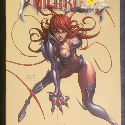 Witchblade Vol 1