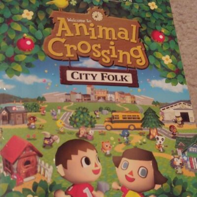 Animal Crossing City Folk Guide