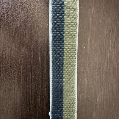 Apple Watch Sport Loop Abyss Blue/Green Moss 42/44/45mm