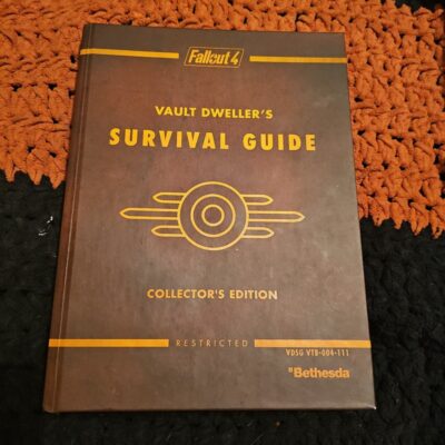 Vault dwellers survival guide