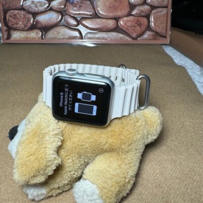 Apple Watch Silver 38MM SERIES 7000